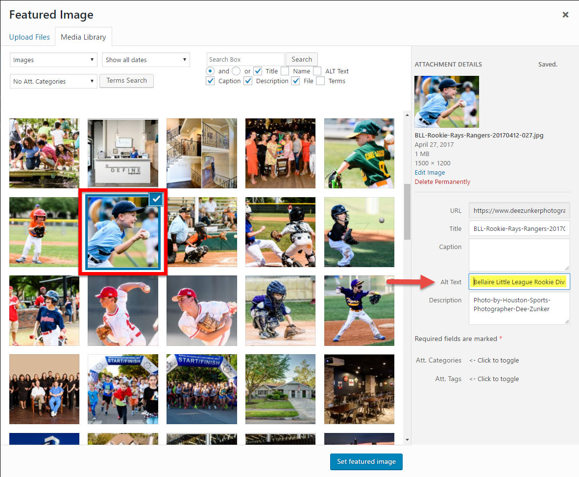 Enter the alt-text for your featured image